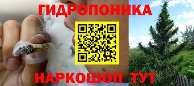 ешки Краснознаменск