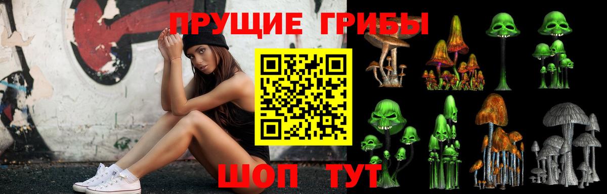 Галлюциногенные грибы ЛСД  Вход с VPN  Кирово-Чепецк  Галлюциногенные грибы GOLDEN TEACHER 